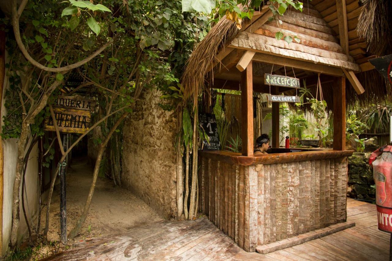 Cabanas La Eufemia تولوم المظهر الخارجي الصورة